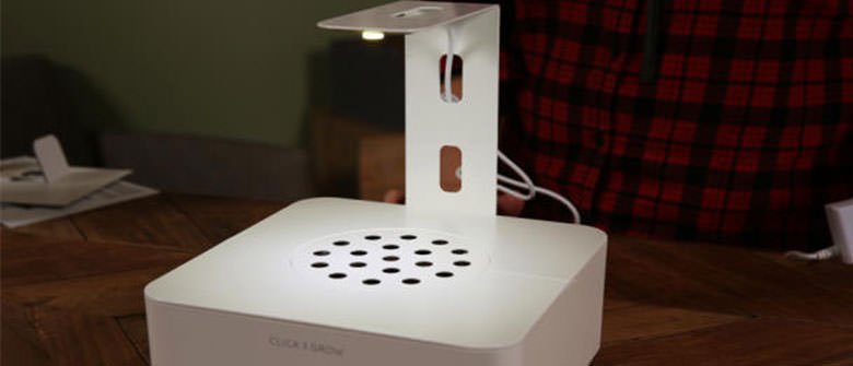 Ficou fácil plantar seus próprios temperos em casa