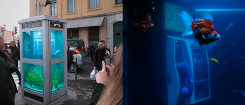 Boiando na conversa?