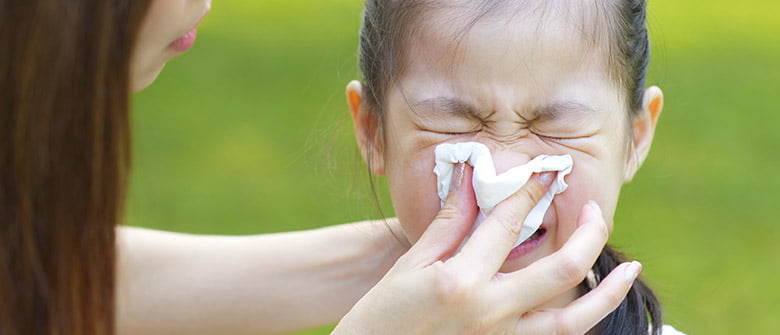 Vida boa causa alergia?