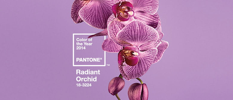 A cor do ano.... que vem