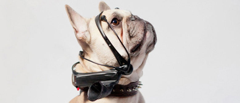 Falando a mesma língua