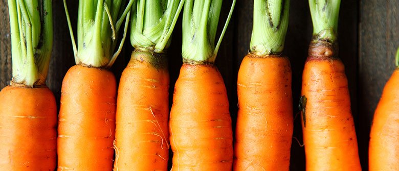 Nutrição certa por linhas tortas