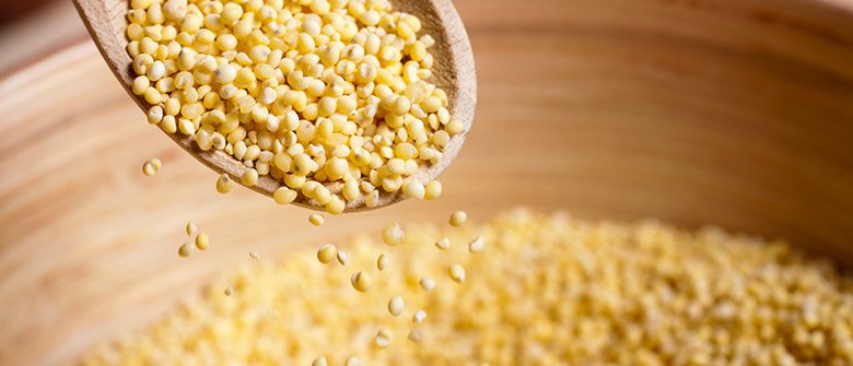 Millet, o novo superalimento