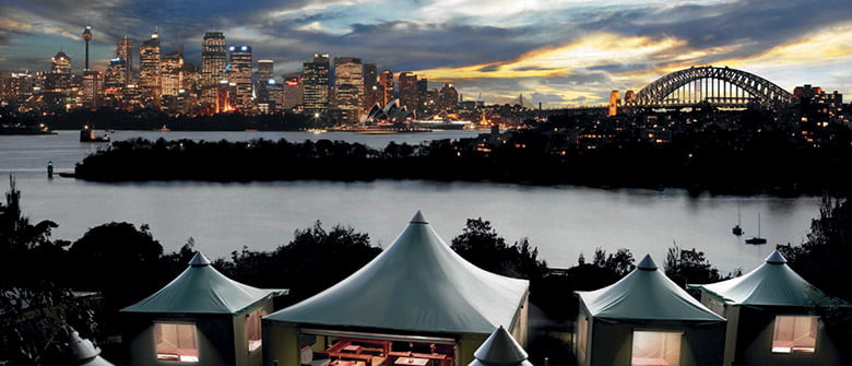 Uma noite no zoológico