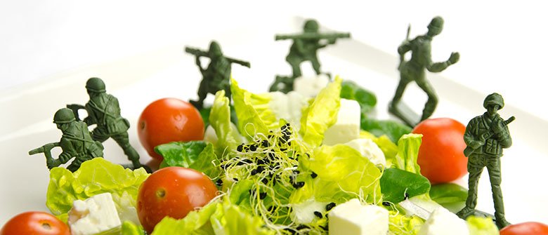 Dieta da guerra