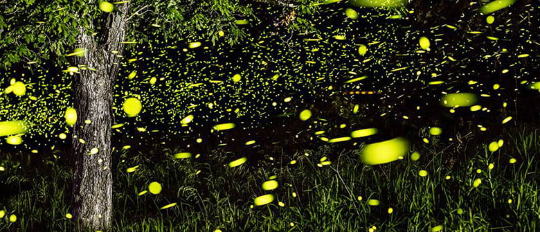 A inspiração do brilho breve