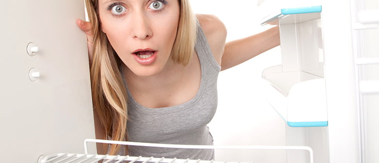 Paparazzi de geladeira