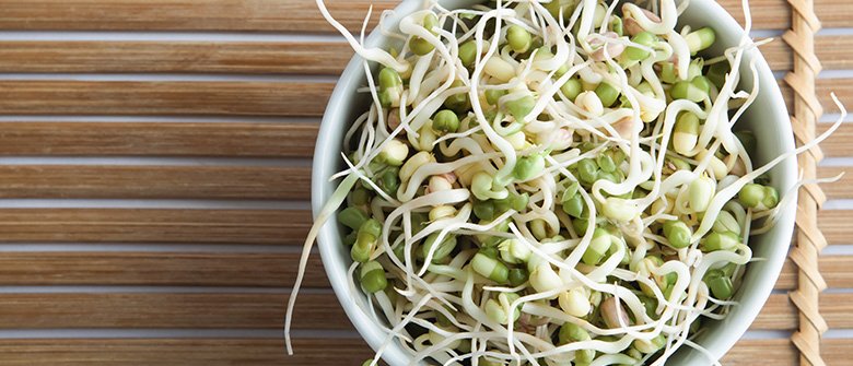 Olha que broto legal