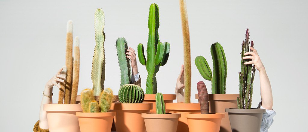 A tecnologia do delírio