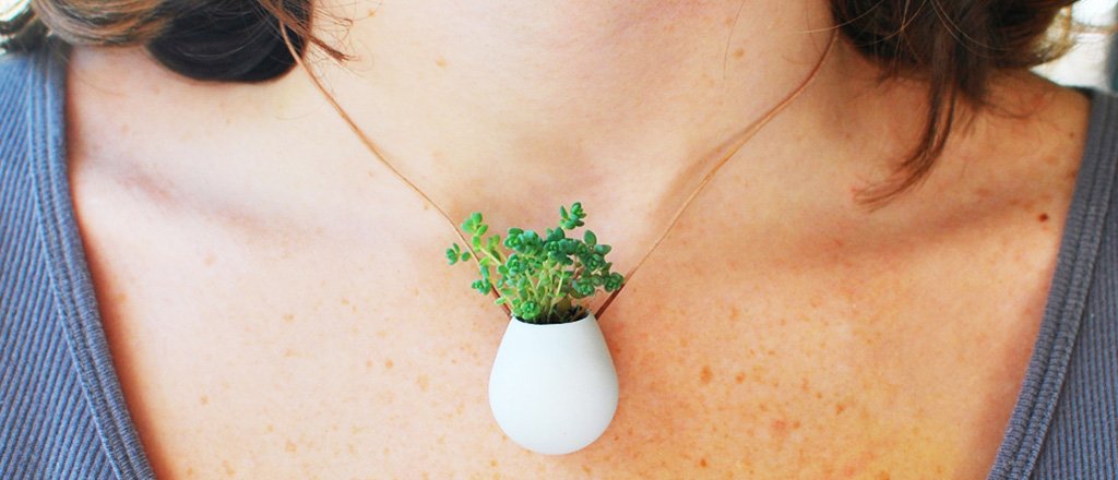 Eu vejo plantas em você