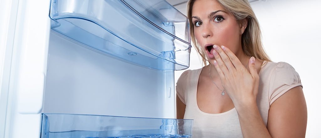 Se sua geladeira falasse