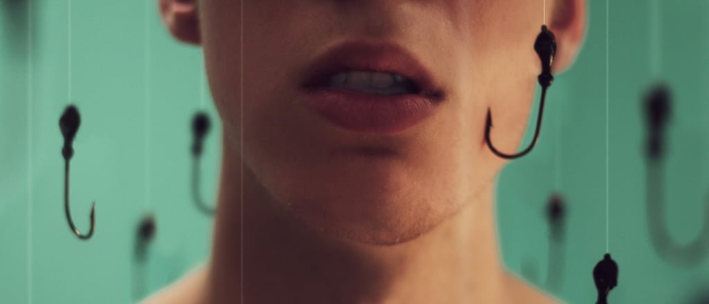 Fisgado pelas selfies