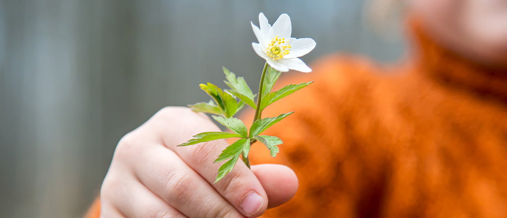 Dar é melhor que receber