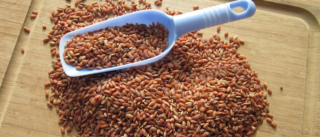 Arroz vermelho, o grão do sertão