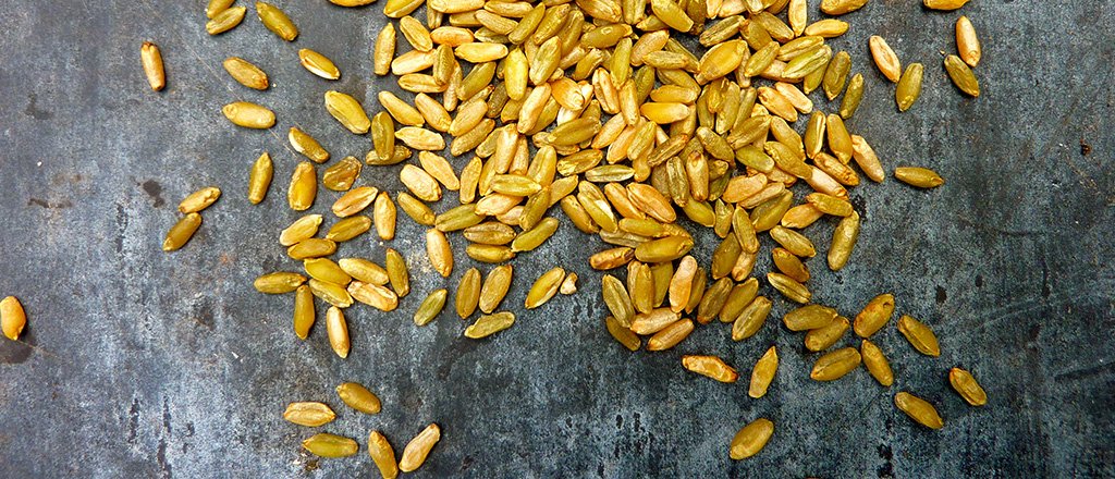 Freekeh, o trigo que emagrece