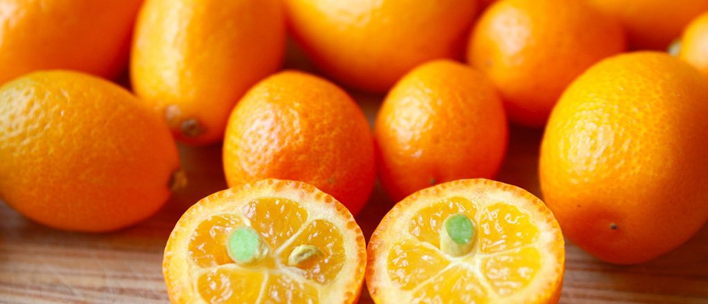 Kinkan, a pequena invocada