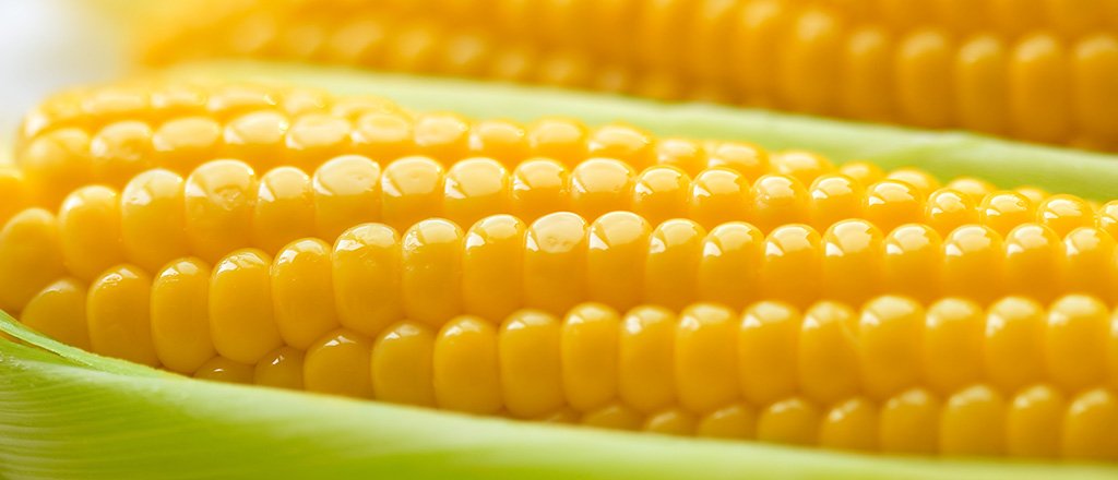 Sim, o milho pode ser diferente