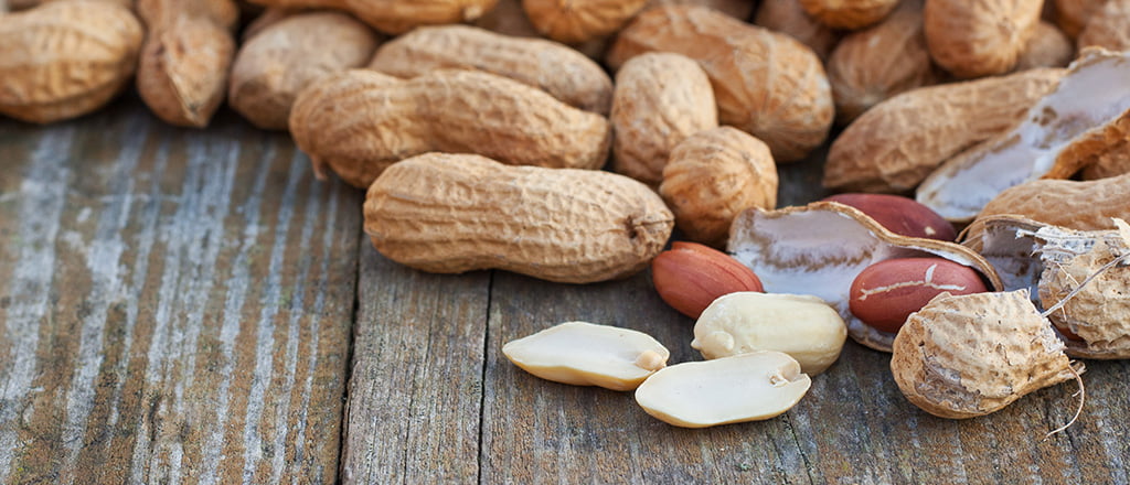 Amendoim sem alergia