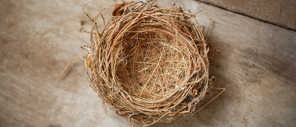 Sem filhos sim, e daí?