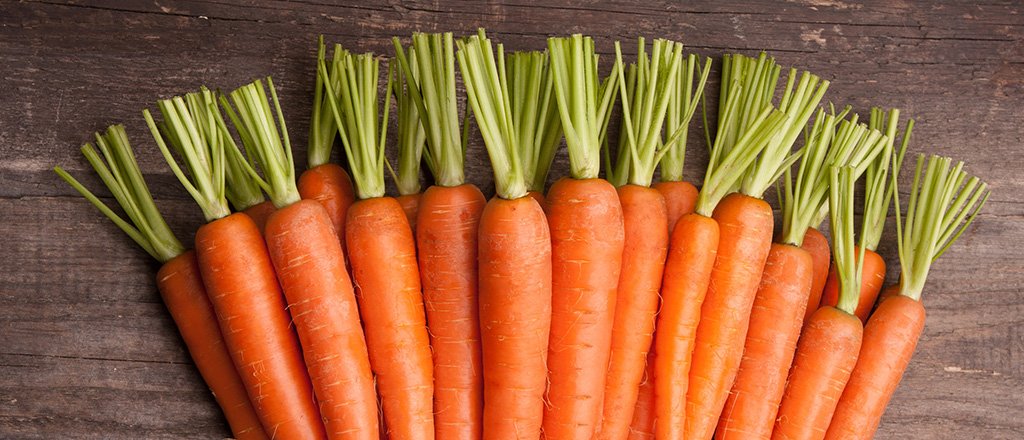 A cenoura de cara nova