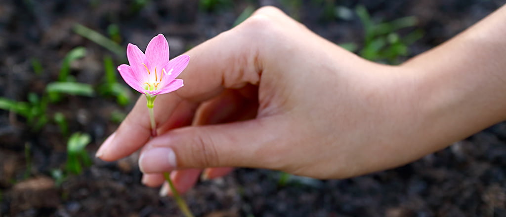 Aromas também são captados pela pele