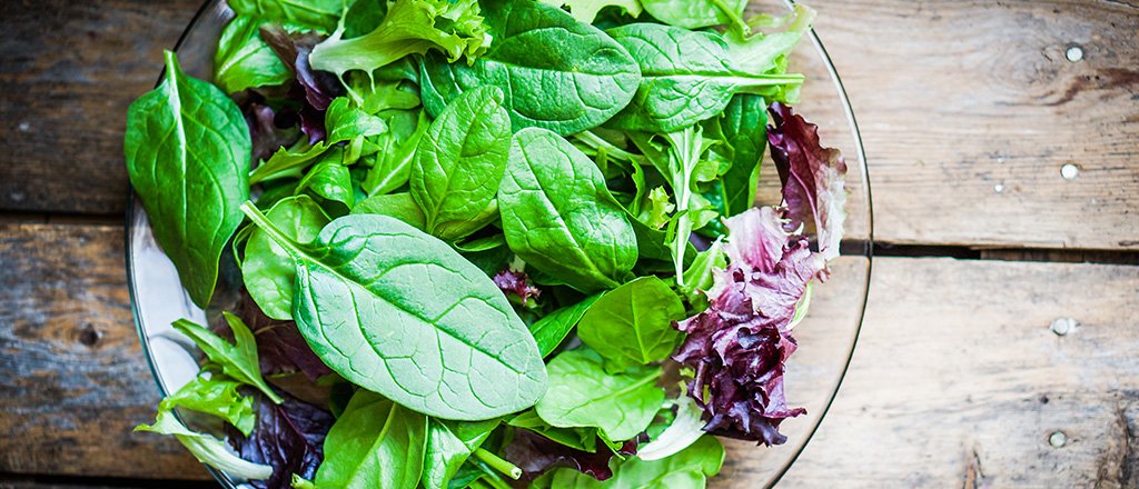 O sonho da horta própria