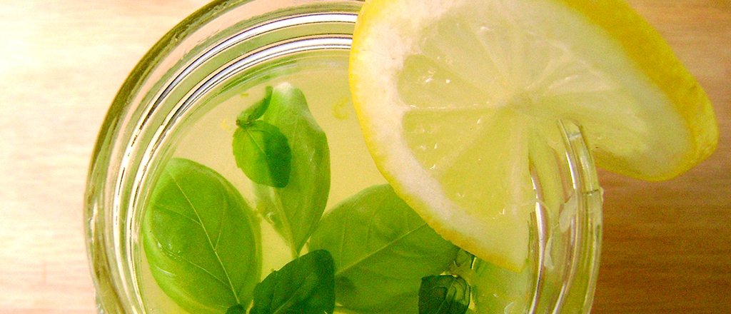 Limonada com manjericão