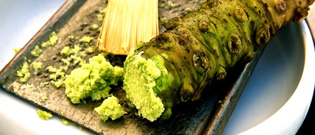 Descoberto o segredo do wasabi