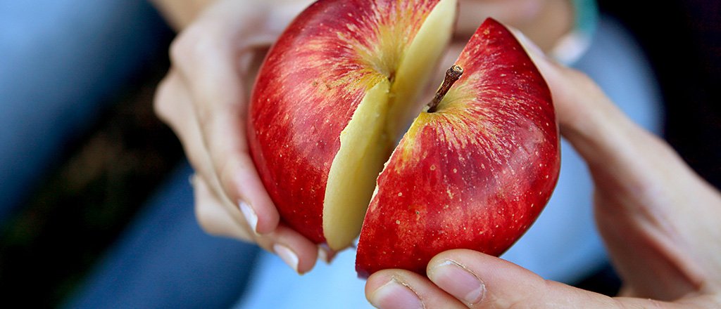 Compartilhar é mais gostoso