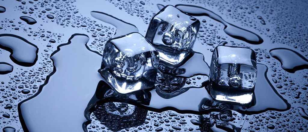 O peso líquido da inteligência