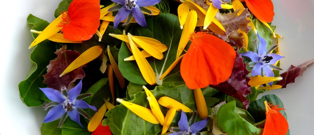 salada de flores