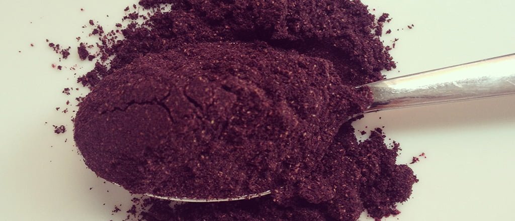 Conheça o poder da maqui berry