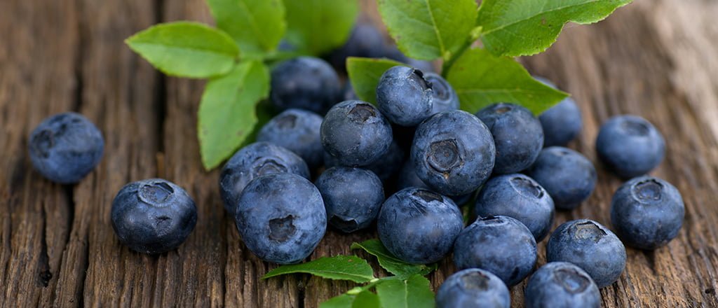 Conheça o poder das bilberries