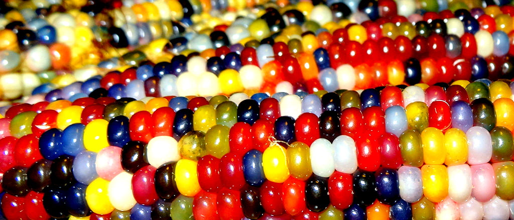 Arco-íris nutritivo