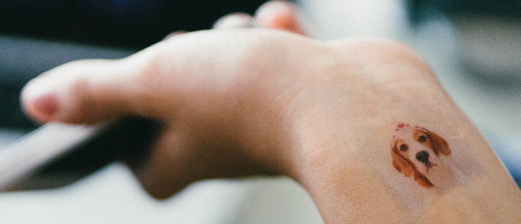 Imagens em movimento