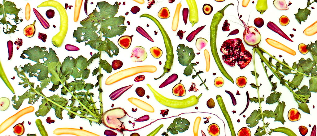 A arte da nutrição