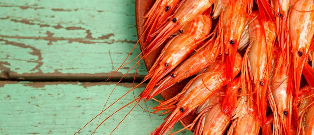 Saborosa alfabetização