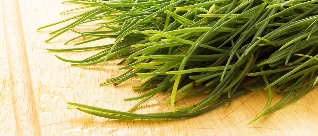 A hora e a vez do agretti