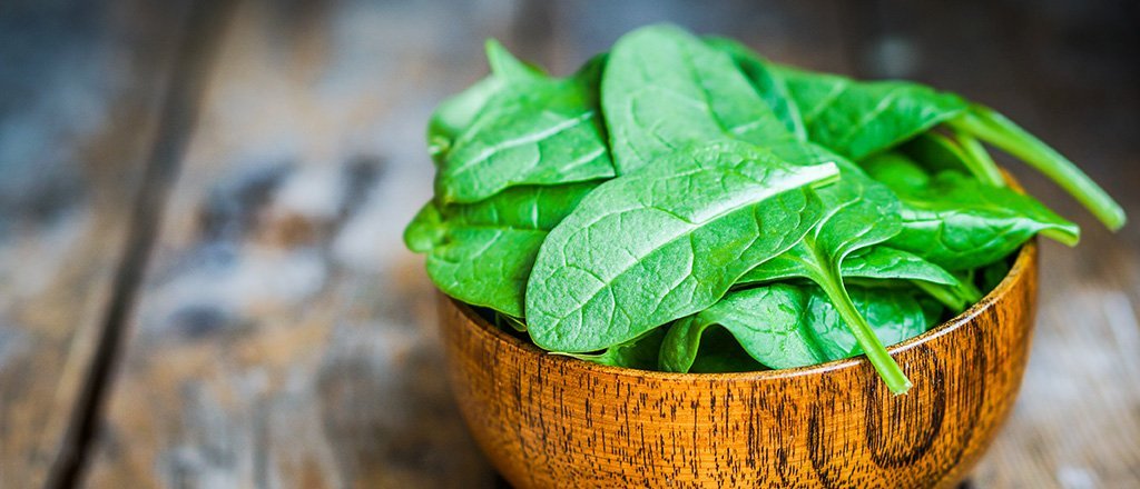 Espinafre todo dia rejuvenesce a mente