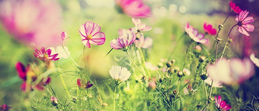 A paz está lá fora