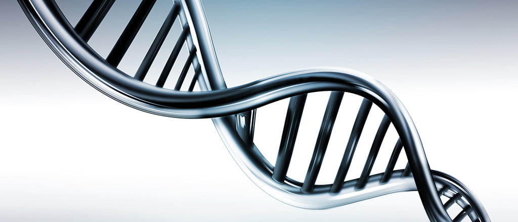 A cura da obesidade está no DNA