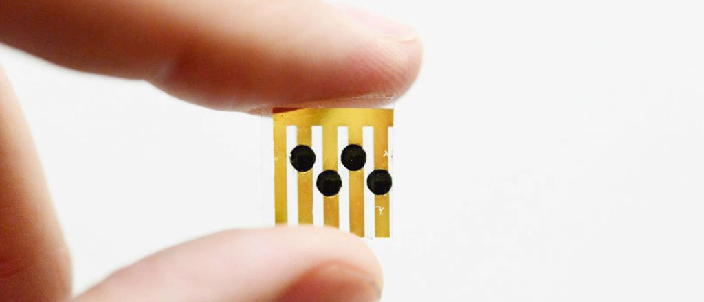 Chip revela qualidade dos alimentos