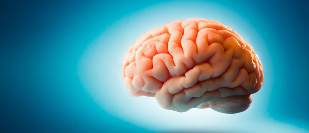 O exercício da mente