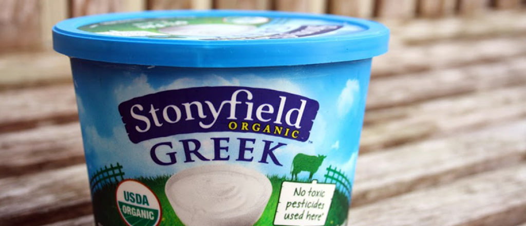 O julgamento dos probióticos