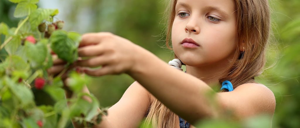 O futuro da nutrição