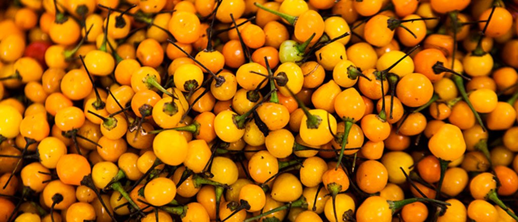 A pimenta mais cara do mundo