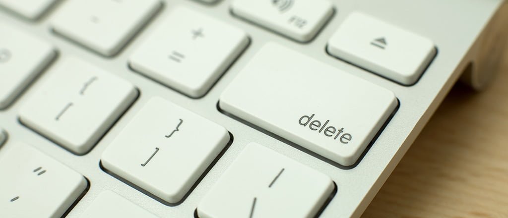 Apague sua existência online