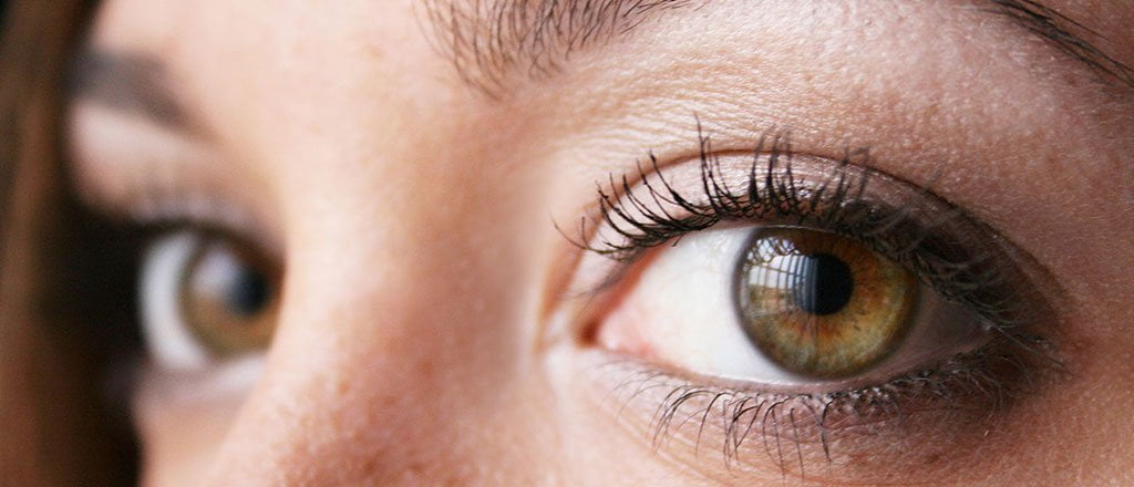 O poder dos seus instintos