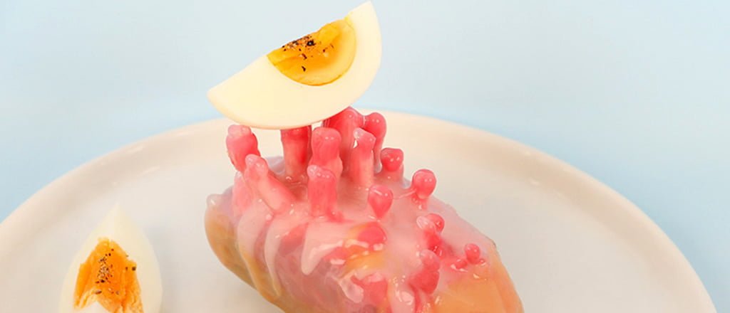 Saciando os sentidos